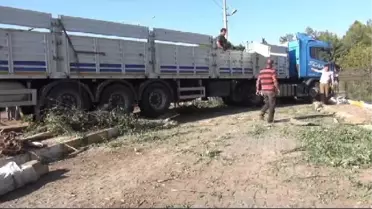 Kurbanlık Yüklü Tır Devrildi: 3 Yaralı