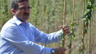 Mera Daralıyor Diye Ağaçlandırmaya Karşı Çıkılıyor'