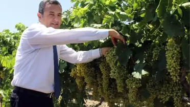 Vali Demir Üç Yılın Ardından Denizli'ye Veda Ediyor