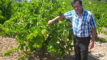 Ziraat Odası Başkanı'ndan Üzümde Oyun Uyarısı