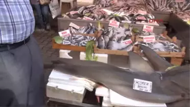 Adana'nın Karataş İlçesi'nde Av İçin Denize Açılan Balıkçı Selahattin Kaya, 2.5 Metre Uzunluğunda,...