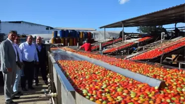 Türkiye, Salça Üretiminde Dünya Üçüncüsü