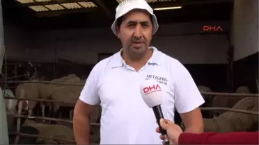 Almanya'da Kurban Bayramı Hazırlıkları Başladı