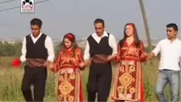 Damla Yıldırım - Yöre Halayı