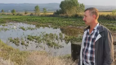 Manyas Ovası'nı Su Bastı
