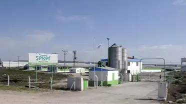 Şeker Piliç'e Dubaili Müşteri Çıktı