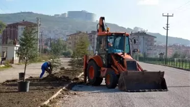 Tavşanlı'da Yeni Fidanlar Toprakla Buluşuyor
