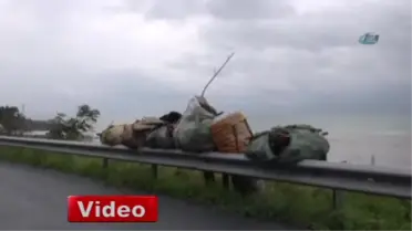 Dalgalı Denizde Ölümle Burun Buruna Odun Topluyorlar