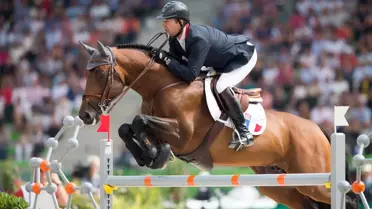 Los Angeles Masters: Yıldızlar Geçidi Melekler Şehrinde!