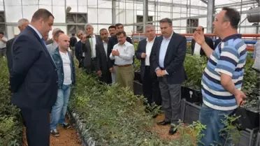 Yuntdağı Antep Fıstığı ile Kalkınacak