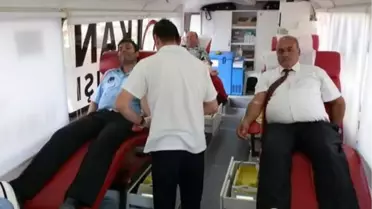 Aydın'dan Kısa Kısa