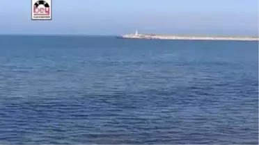 Murat Karadağ-Kemal Baş - Atım Arap
