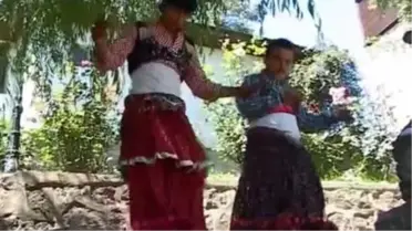 Şevket Doğan - Dırdır Vırvır