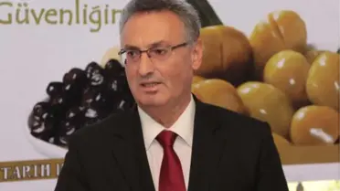 Sofralık Zeytinde Kalsiyum Tuzu Dönemi