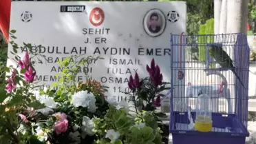 Şehit Oğulunun Mezarına Muabbet Kuşunu Getirdi