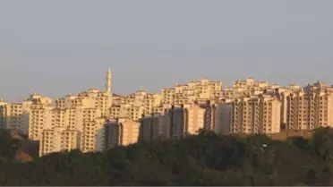 Ordu Toki, Kayyuma Kaldı