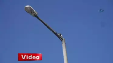Kedi Ciğere Hayır Dedi!