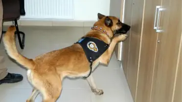 Şila' ile 56 Kilogram Uyuşturucu Ele Geçirildi