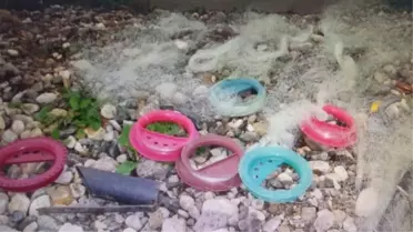 Sakarya Kenarındaki Balıkçılara Denetim