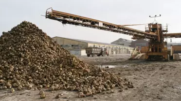 Susurluk Şeker Fabrikası Yeniden Faaliyete Geçirildi