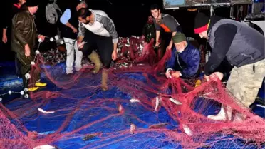Çanakkale Boğazı'nda Lüfer Bereketi