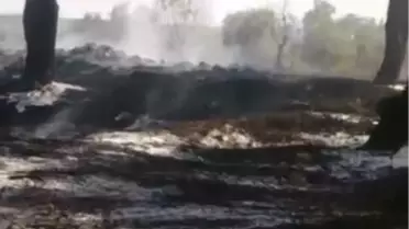 Gelibolu Yarımadasında Tutuşan Samanlar Yangın Çıkarttı