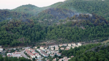Marmaris'te 44 Hektar Kül Oldu