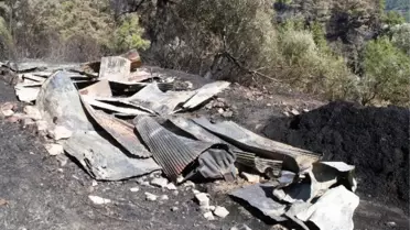 Marmaris'teki Yangından Sonra Yaralar Sarılmaya Çalışılıyor