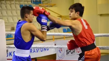 Türkiye Boks Grup Şampiyonası Adana'da Devam Ediyor