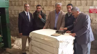 Urfa Pamuğu, Kalite Standardını Yakaladı