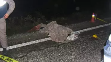 Yolda Yürüyen Lise Öğrencilerine Tır Çarptı: 3 Ölü