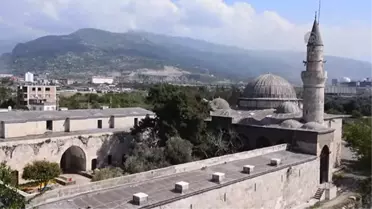 Bin 350 Yıldır Meyve Vermeye Devam Ediyor