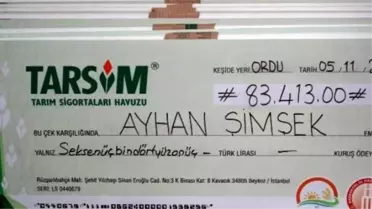 Tarsim Ordu'da Hasar Ödedi