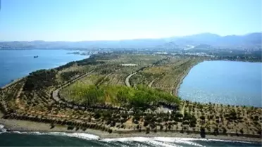 İnciraltı Kent Ormanı Nefes Aldırıyor