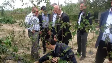 Çilek Üreticilerinin Mersin ve Adana Gezisi