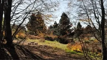 Uludağ'da 'Dörtnala' Eko Turizm