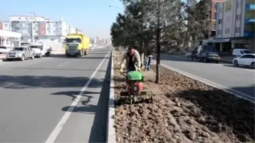Batman'a 20 Bin Fidan Dikilecek