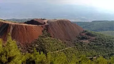 Çaldağı'nda 2 Milyon Ağaç Kesilecek