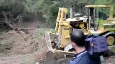 Çaldağı'nda 2 Milyon Ağaç Kesilebilir