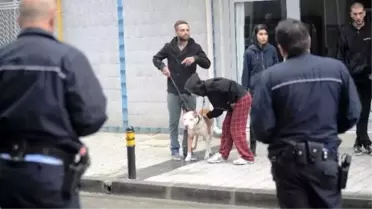 Çanakkale'de Pitbull Dehşeti