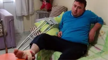 Çanakkale'de Pitbull Dehşeti