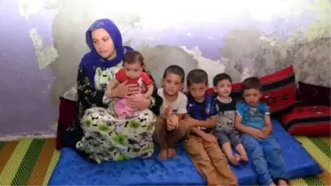 Sahte Kimlikle Evlenen Damat Tahliye Oldu