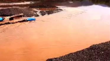 Cennet Sedir Adası'nda Deniz Kahverengiye Döndü