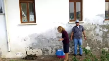 Datça'da Sokak Kedilerine Yuva