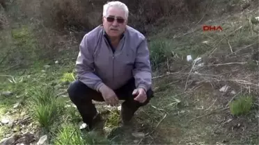 Gebe İneği Tüfekle Vurup Satmak İçin Parçaladılar