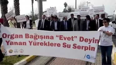 Organ Bağışında Farkındalık Oluşturmak İçin Yürüdüler
