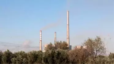 CHP'li Özel'den Zeytin Ağaçları İçin Yasa Teklifi