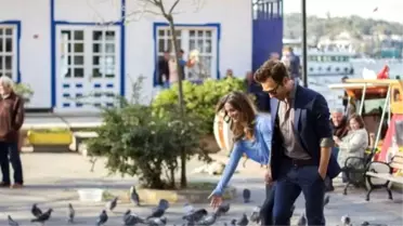 Günahkar Setini Güvercinler Bastı