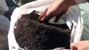 Kilis'te 180 Kilo Kaçak Çay Ele Geçirildi