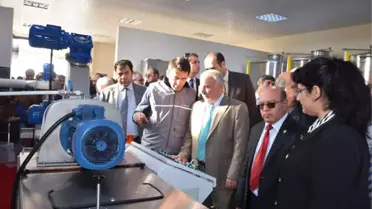 Harran, Kaliteli Zeytinyağı Üretmeyi Hedefliyor